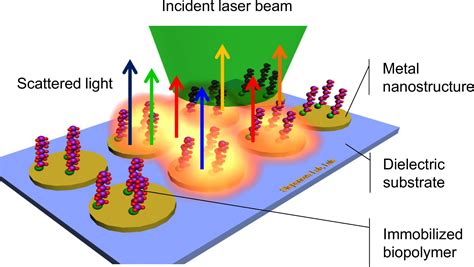 Surface Enhanced Raman Spectroscopy Detection Of Biomolecules Using Ebl