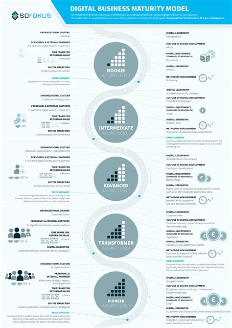 Digital Business Maturity Model Sofokus