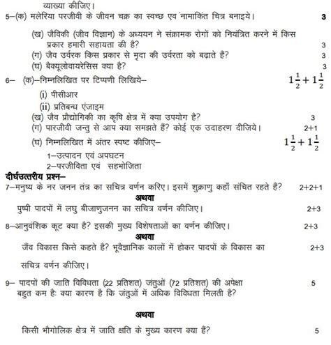 Up Board 12th Biology Model Paper 2024 Download Class 12 Biology Sample Paper Pdf