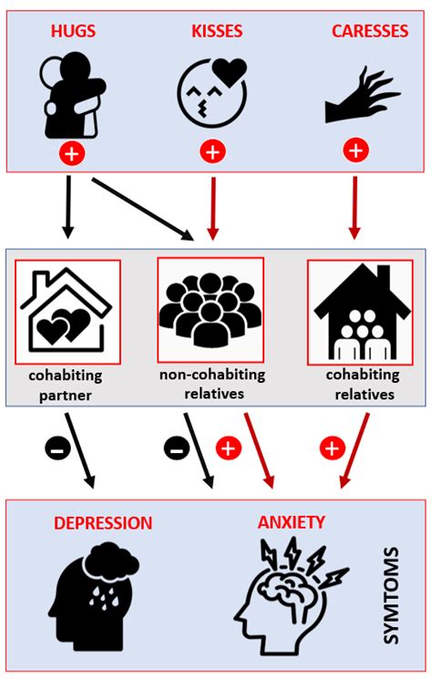 Brain Sciences Free Full Text Positive Touch Deprivation During The