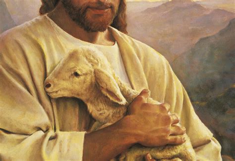 Webquests Parable Of The Lost Sheep Catholic Teacher Resources