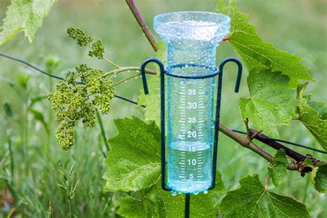 744 Rain Gauge Stock Photos Free And Royalty Free Stock Photos From