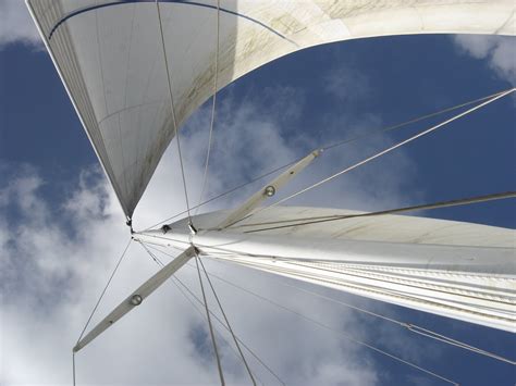 sails   photo  freeimages