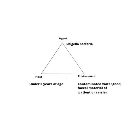 Bacillary Dysentery (Shigellosis) - Symptoms, Diagnosis, Prevention, and Treatment