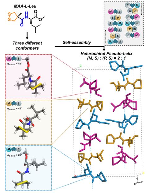 纳米人 Jacs：具有动态手性的小分子二硫化物的结构可控单晶螺旋自组装