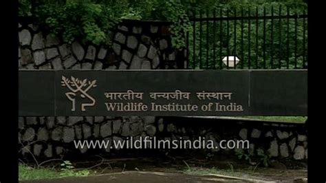 Wildlife Institute Of India And Forest Research Institute In Dehradun