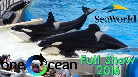 SeaWorld One Ocean Show Killer Whale Show - Live 5