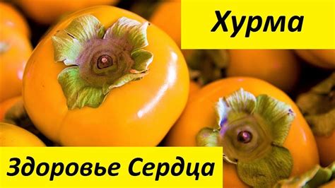 Хурма - Полезные и Опасные Свойства Хурмы - YouTube