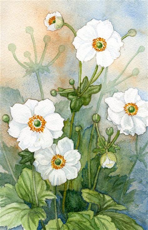 Japanese Anemones By Susan Mackenzie Watercolor Flowers Tutorial