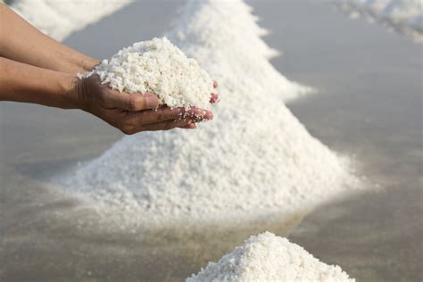 Solumineraali 8: Nestetasapaino | Solumineraalikauppa