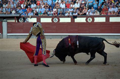 La Primera Corrida En España Historia De La Tauromaquia
