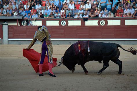 La primera corrida en España Historia de la Tauromaquia