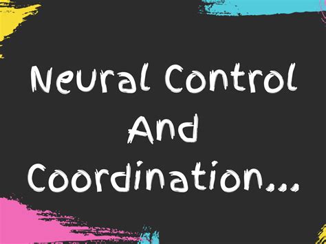 Solution Neural Control Coordination Marathon Studypool