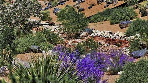 The Vegas Home - Las Vegas Desert Landscape | Realty ONE Group, Inc