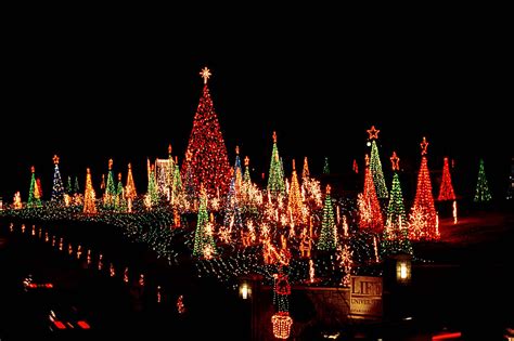 The Coupon Tutor Lights Of Life In Marietta 5 Date Night