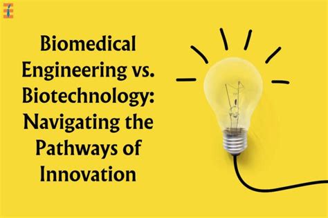 8 Best Differences Between Biotechnology And Bioengineering Future