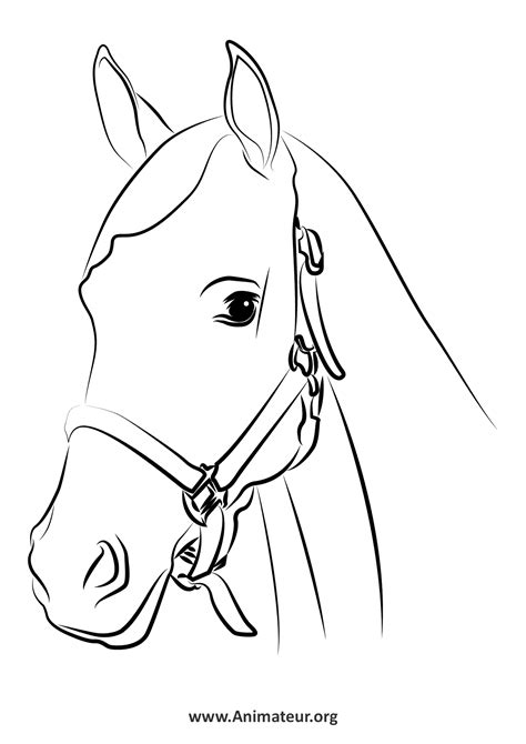 Coloriages de Chevaux à Imprimer Gratuitement