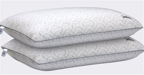 Sealy Memory Foam Pillows 2-Pack only $34.99 on Walmart.com (Regularly ...