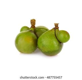 Soap Nut Tree Isolated On White Stock Photo 487755457 | Shutterstock