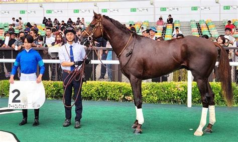 【中京3r・2歳新馬】アートコレクションが好位から抜け出す 角田大和騎手「体幹がしっかり」 競馬ニュース