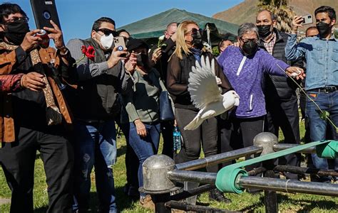 Organizaci N Alerta Que Periodistas Han Sido Asesinados En Varios