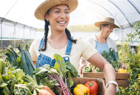 Agriculture Teamwork And Vegetable Farming In A Greenhouse For