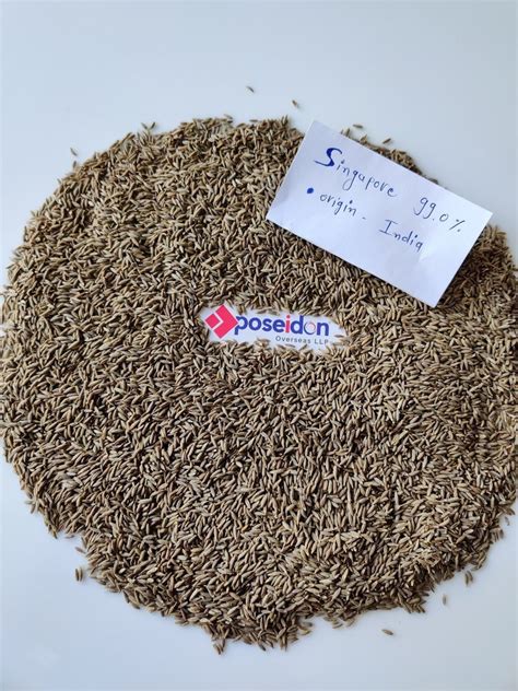 Brown Cumin Seed Jeera Bulk Packaging Type Gunny Bag At Rs 130 Kg