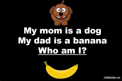 My Mom Is A Dog My Dad Is A Banana Riddle Answer Riddlester