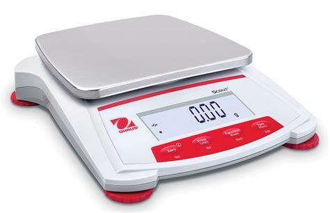 Electronic Scale