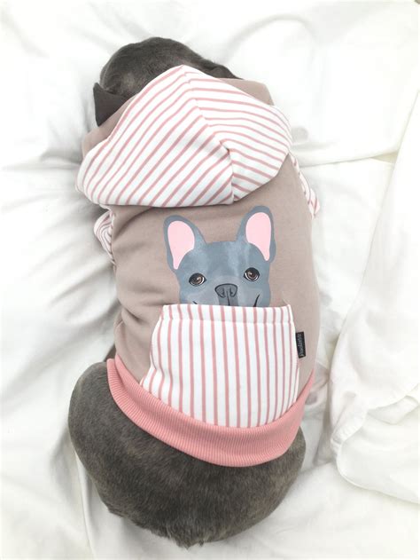 French Bulldog hoodie in pink | Frenchie Clothing | Blue Frenchie dog