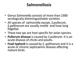 Salmonellosis Ppt