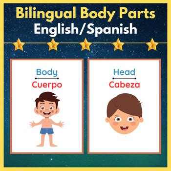 The Human Body Bilingual Body Parts Flash Cards En Sp Printable Posters