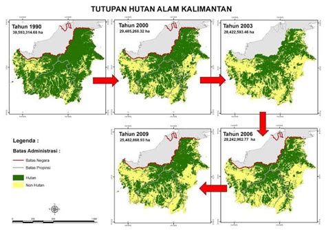 Apakah Laju Deforestasi Di Pulau Kalimantan Melambat Luas Hutan Alam Di