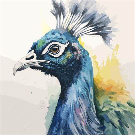 Premium Vector Colorful Peacock Illustration Isolated On A White