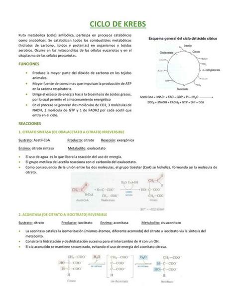 bioquímica uDocz