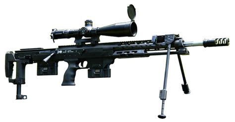 dsr  hermanns sporting guns