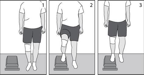 Knee Arthroscopy Exercise Guide Orthoinfo Aaos