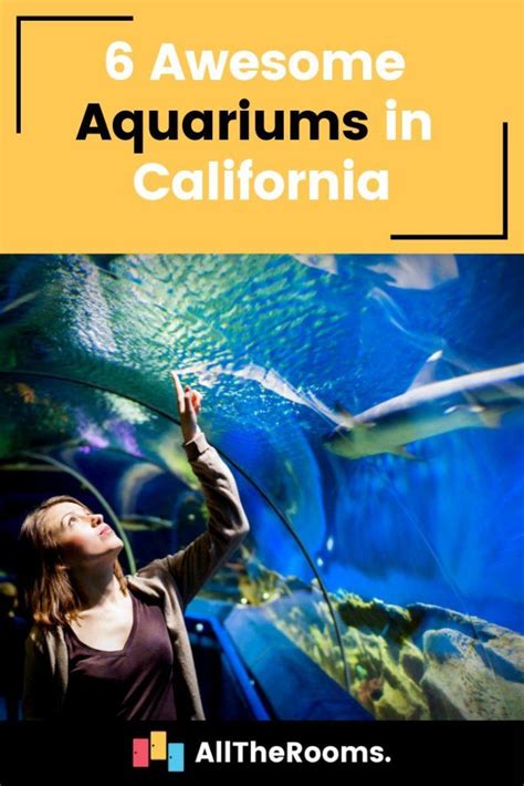 Awesome Aquariums In California Alltherooms The Vacation Rental