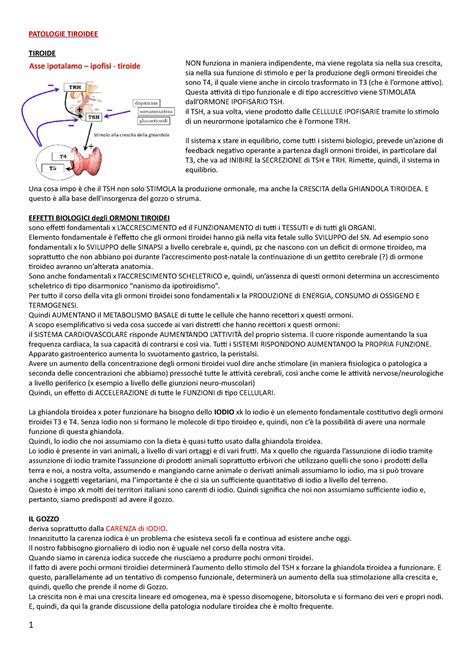 Copia Di 3 Endocrinologia PATOLOGIE TIROIDEE TIROIDE NON Funziona