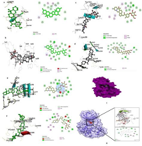 2D And 3D Representation Of Predicted Binding Mode For Compounds A