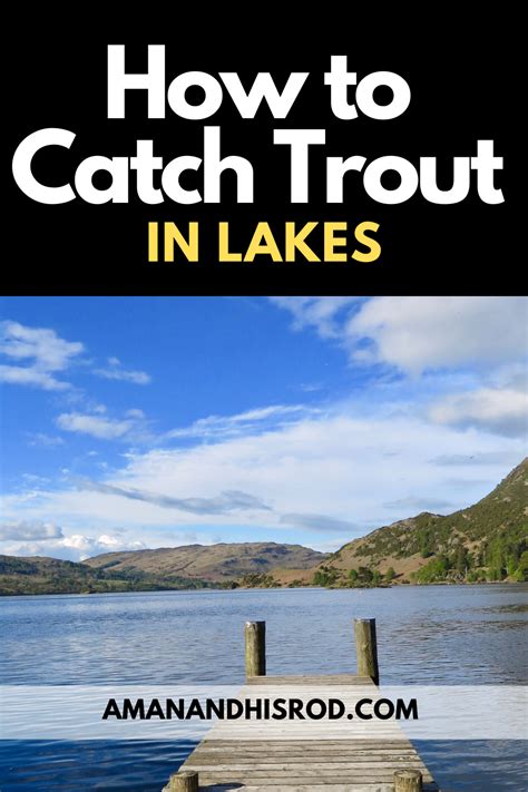 11 Proven Trout Fishing Tips You Can Trust Artofit