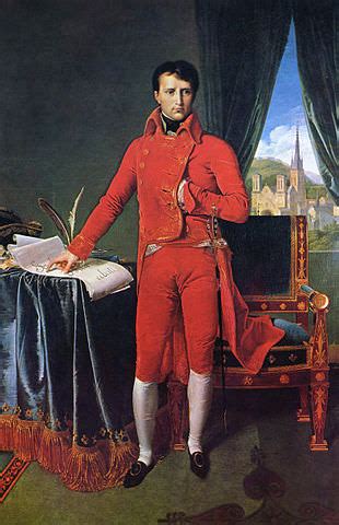 10 Interesting Facts About Napoleon Bonaparte - Shannon Selin