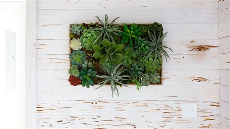 The Best Wall Planters To Save Floor Space And Add Style