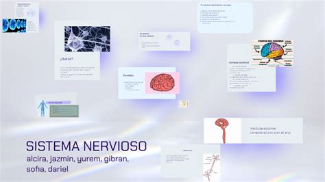 Sistema Nervioso By Alcira Avalos On Prezi