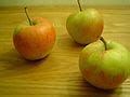 Category Jupiter Apple Wikimedia Commons