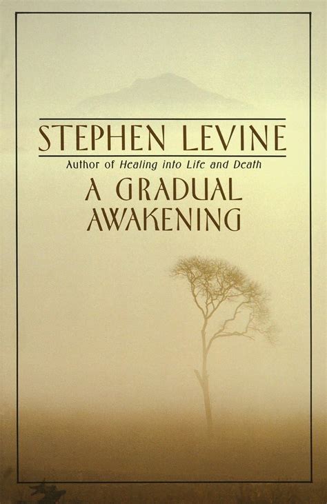 A Gradual Awakening Levine Stephen 9780385262187 Books