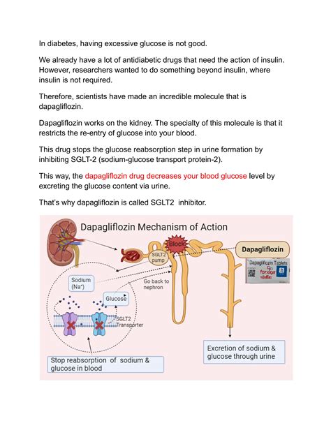 Everything You Need To Know About Dapagliflozin Mechanism Of Action Pdf