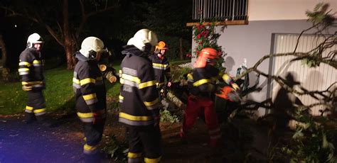 Feuerwehr Nitscha Baumbergung Am 30 06 2020 In Nitschadorf