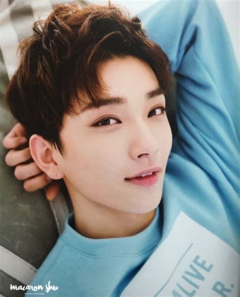 Joshua Seventeen Facts And Profile Joshuas Ideal Type Updated