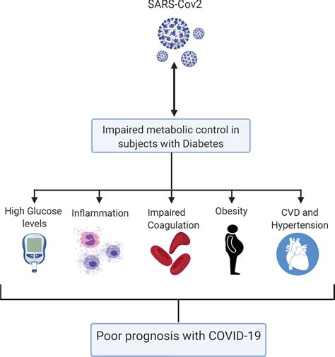 Frontiers Impact Of Diabetes In Patients Diagnosed With Covid 19